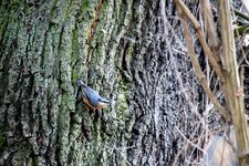 DSC_0156.JPG DSC_0156.JPG