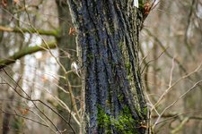 DSC_0066.JPG DSC_0066.JPG