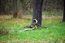 DSC_0236.JPG