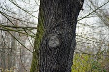 DSC_0188.JPG