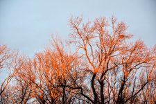 DSC_0089.JPG