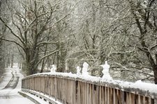 DSC_0049.JPG DSC_0049.JPG