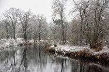 DSC_0043.JPG DSC_0043.JPG
