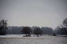 DSC_0217.JPG DSC_0217.JPG