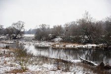 DSC_0236.JPG DSC_0236.JPG