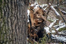 DSC_0146.JPG