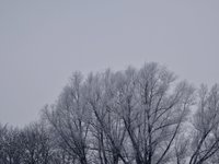 klein_ - 5 (11).jpg