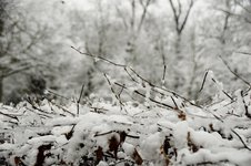 DSC_0028.JPG DSC_0028.JPG