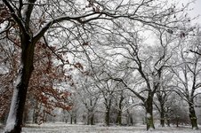 DSC_0023.JPG DSC_0023.JPG