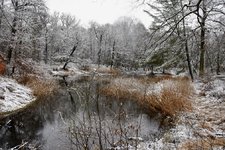 DSC_0113.JPG DSC_0113.JPG