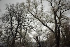 DSC_0160.JPG DSC_0160.JPG