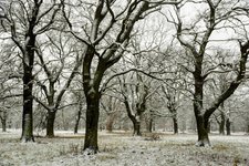 DSC_0034.JPG DSC_0034.JPG