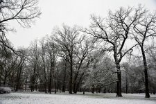 DSC_0061.JPG DSC_0061.JPG