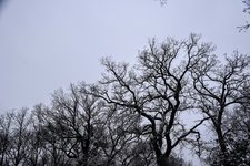 DSC_0063.JPG DSC_0063.JPG