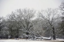 DSC_0190.JPG DSC_0190.JPG