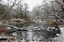 DSC_0105.JPG DSC_0105.JPG