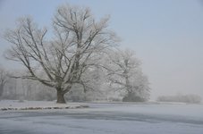DSC_0022.JPG