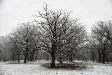 DSC_0041.JPG DSC_0041.JPG