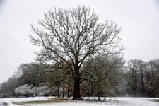 DSC_0199.JPG DSC_0199.JPG