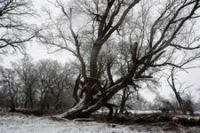 DSC_0125.JPG DSC_0125.JPG