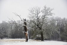 DSC_0194.JPG DSC_0194.JPG