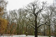 DSC_0319.JPG DSC_0319.JPG