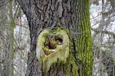 DSC_0161.JPG