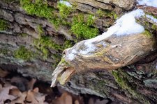 DSC_0058.JPG