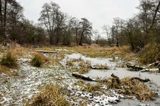 DSC_0089.JPG DSC_0089.JPG