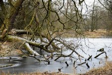 DSC_0117.JPG DSC_0117.JPG
