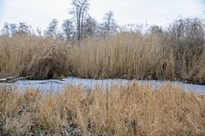 DSC_0135.JPG DSC_0135.JPG