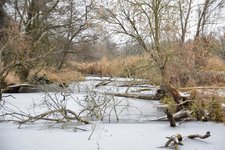DSC_0139.JPG DSC_0139.JPG