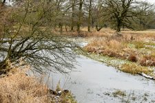 DSC_0094.JPG DSC_0094.JPG