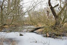 DSC_0112.JPG DSC_0112.JPG