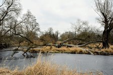DSC_0141.JPG DSC_0141.JPG