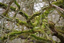 DSC_0050.JPG DSC_0050.JPG