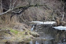 DSC_0024.JPG DSC_0024.JPG