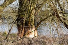 DSC_0089 (1).JPG