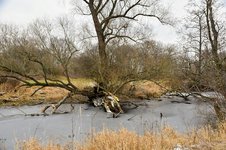 DSC_0151.JPG DSC_0151.JPG