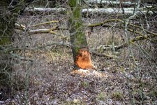 DSC_0052.JPG DSC_0052.JPG