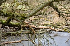 DSC_0120.JPG DSC_0120.JPG