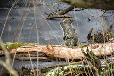 DSC_0128.JPG DSC_0128.JPG