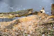 DSC_0131.JPG DSC_0131.JPG