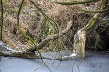DSC_0134.JPG DSC_0134.JPG