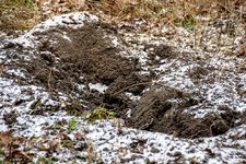 DSC_0179.JPG DSC_0179.JPG