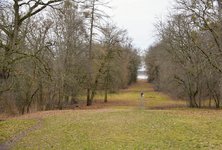 DSC_0146.JPG DSC_0146.JPG