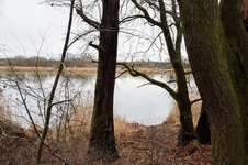 DSC_0069.JPG DSC_0069.JPG