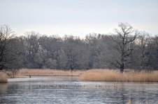 DSC_0080.JPG DSC_0080.JPG