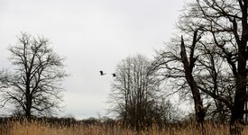 DSC_0094.JPG DSC_0094.JPG