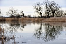 DSC_0104.JPG DSC_0104.JPG